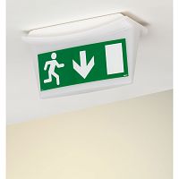 Информационная табличка - для автономных эвакуационных светильников - дверь на выход вниз - 310х112 мм | код 660867 |  Legrand
